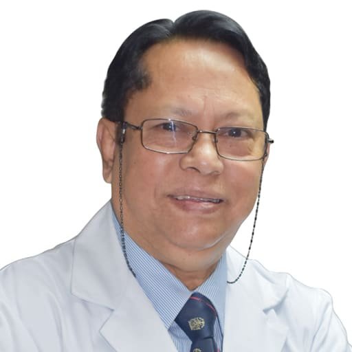 Professor Dr. M Khademul Islam