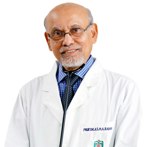 Prof. Dr. A.S.M.A. Raihan